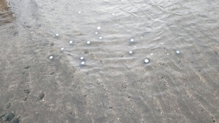 3660975365_1756469653.643.jpg