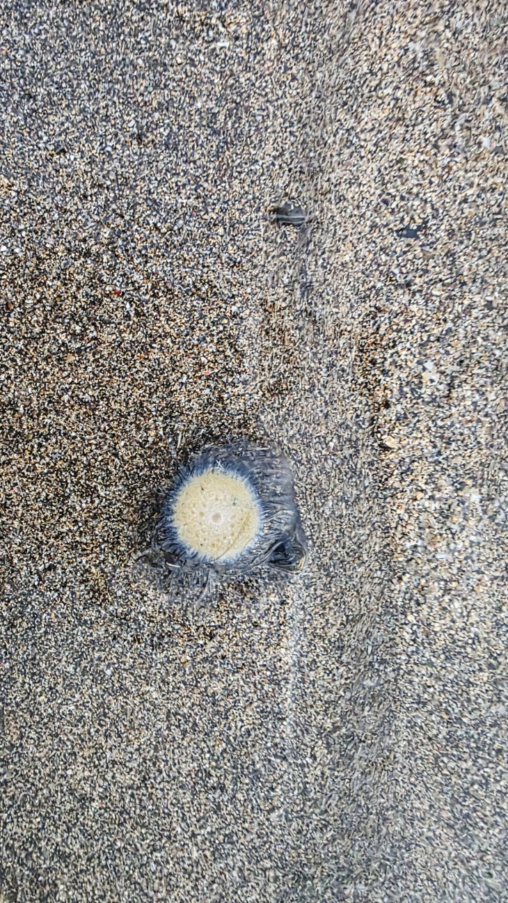 3660975365_1756469682.8778.jpg