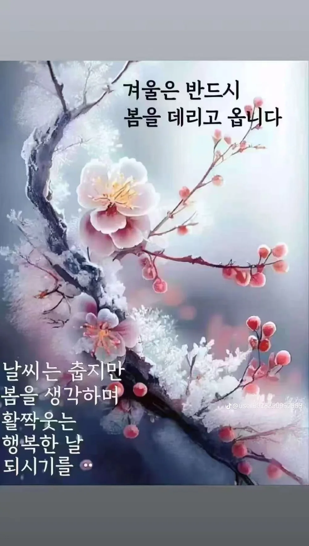 1769216748_AEQqQ55PPa.webp