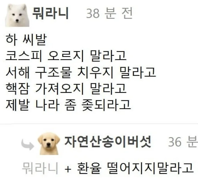 1769528776_S5fKUSSOEE.webp