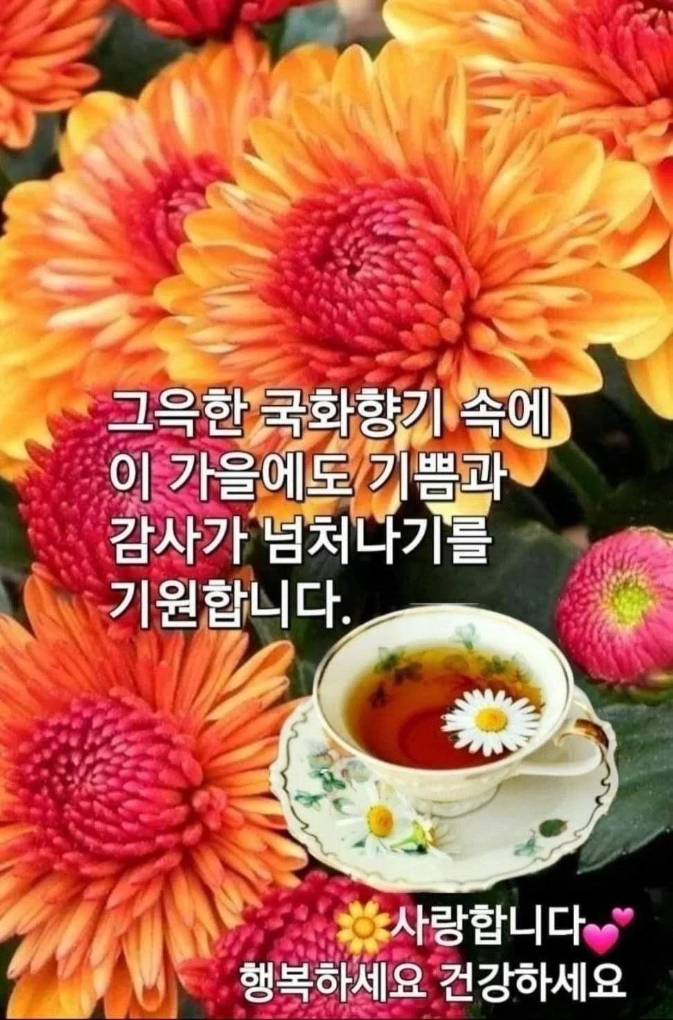 1769819111_Xp5rUdU5jp.webp