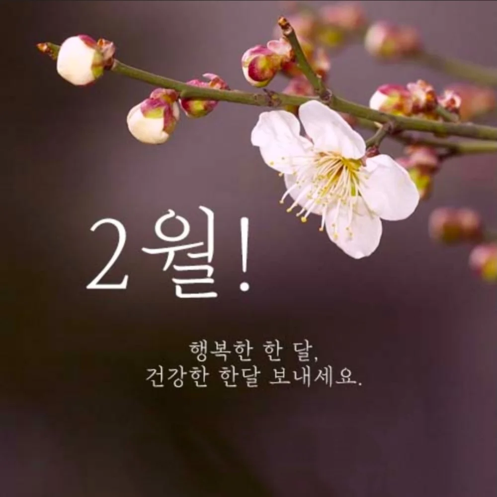 1770070865_a2GEpSNpmK.webp