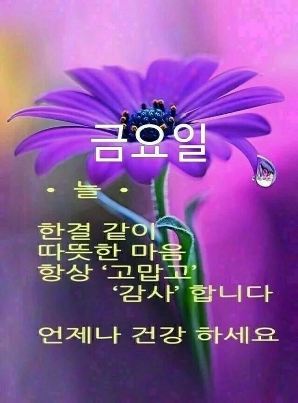 1770350328_5Sigks1cj9.webp