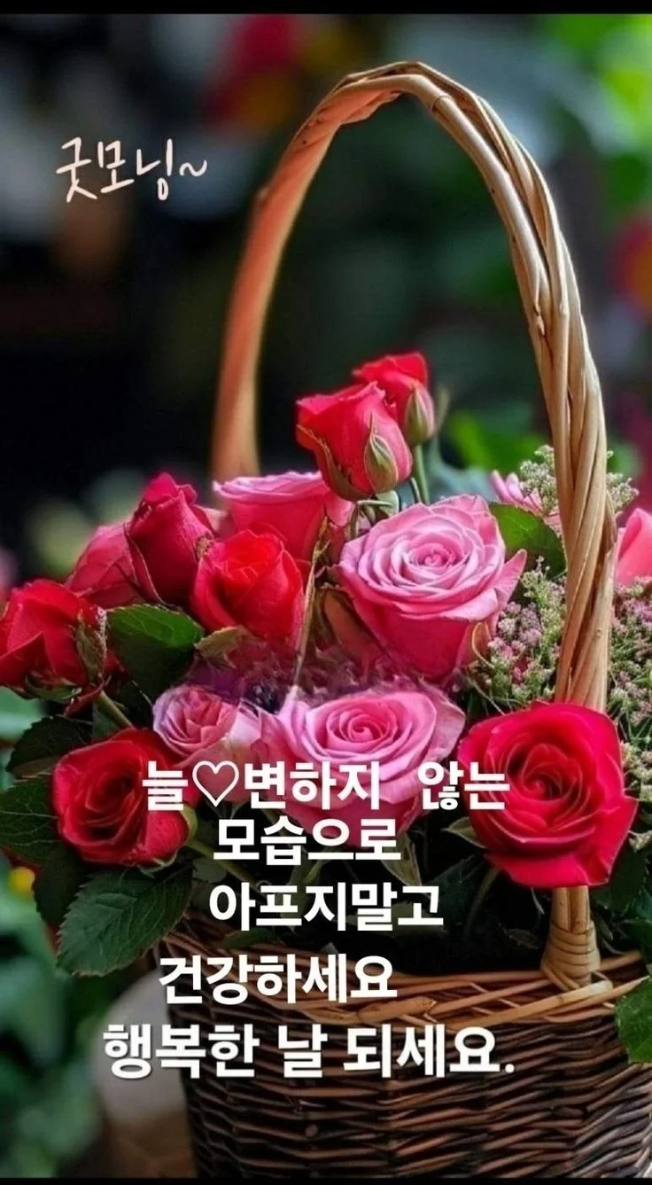1770416304_cw0NLUUCWP.webp