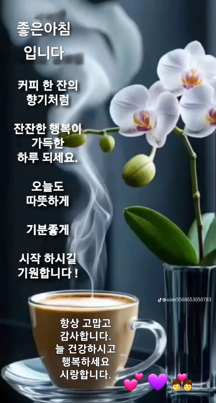 1770768145_qxwWEyMcdO.webp