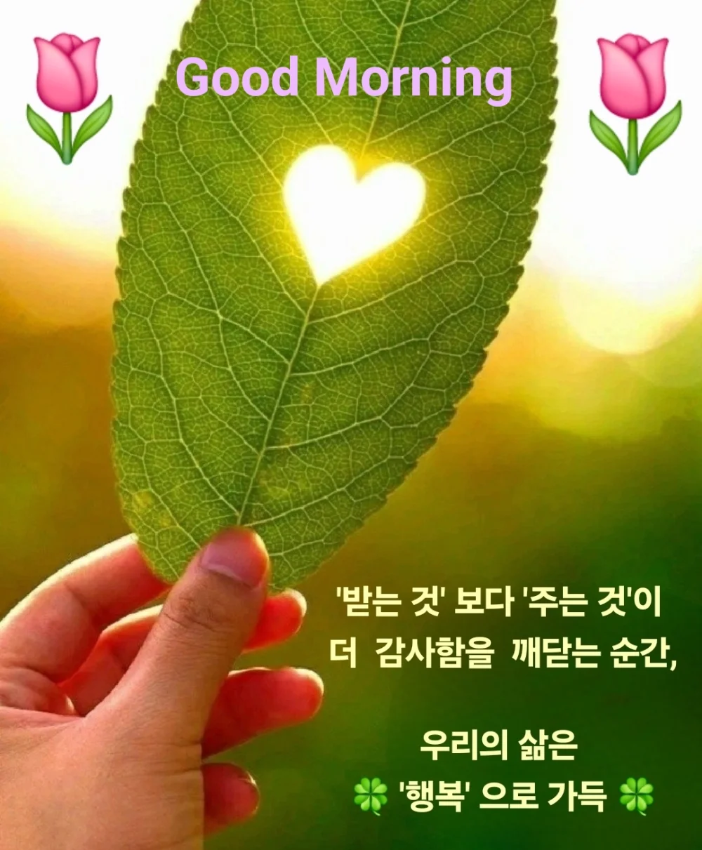 1773698334_TMpqNXZEfV.webp