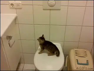 1774146932_fhHWS5YAqJ.webp