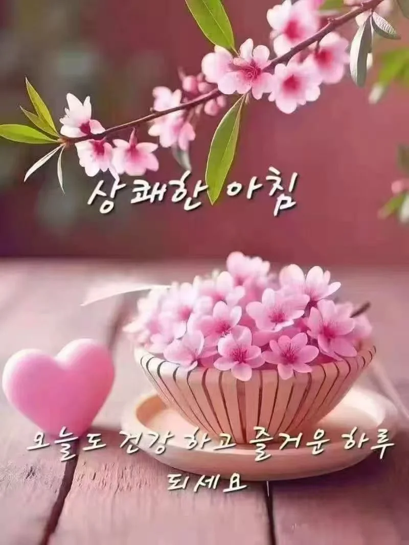 1774230895_wmw68pGZJl.webp