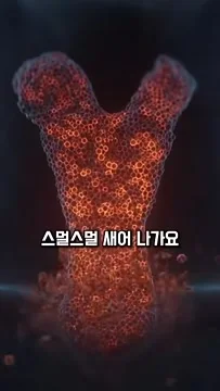 1774772687_dKy3Af0q8a.webp