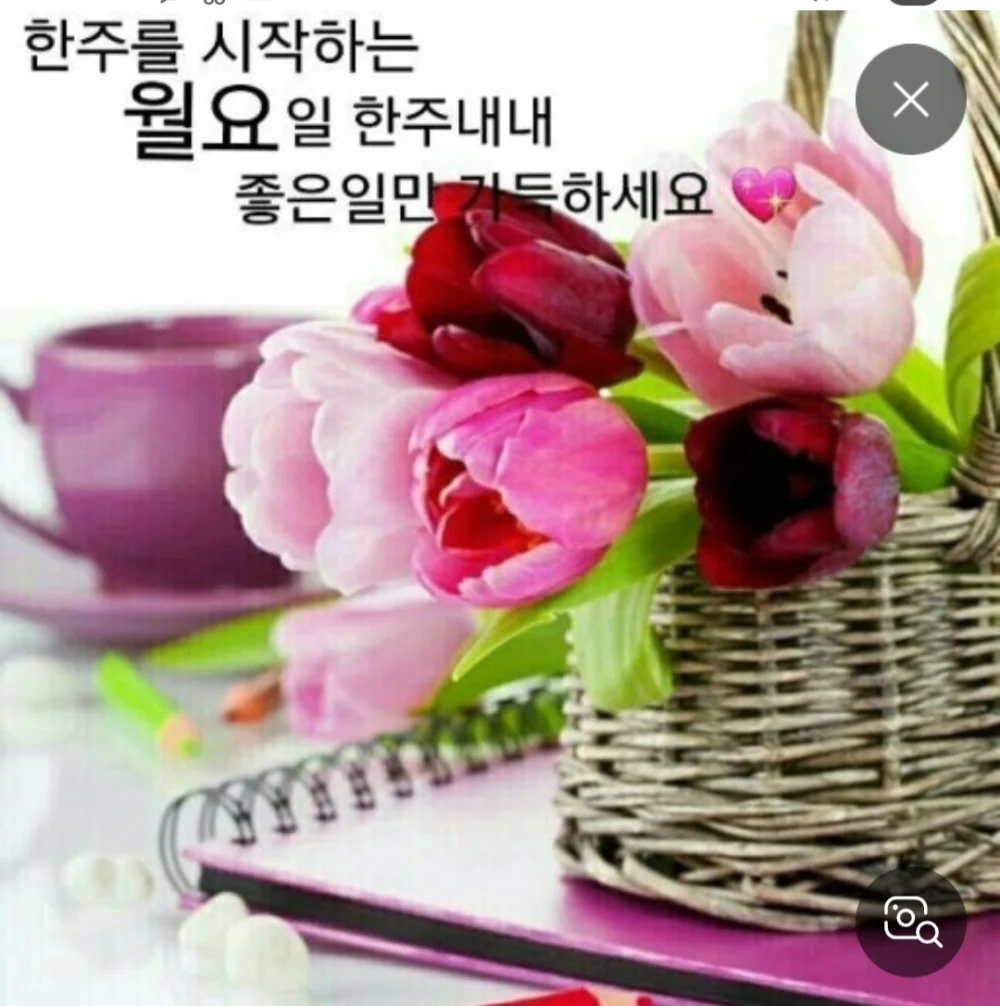 1774833894_PEcRcomTOr.webp