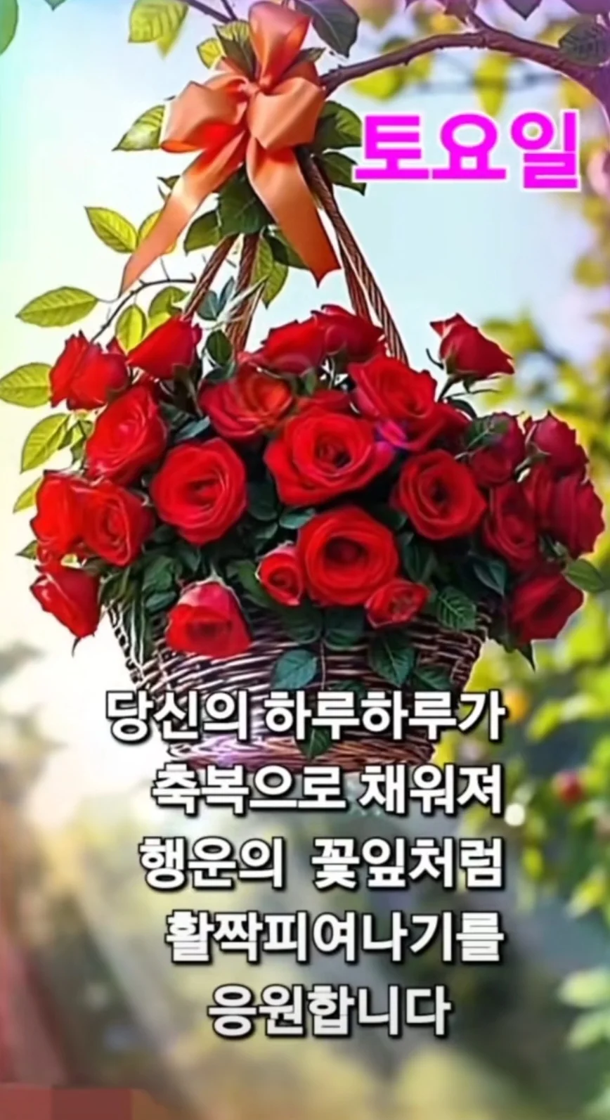 1776561954_WLOfJaZCjO.webp