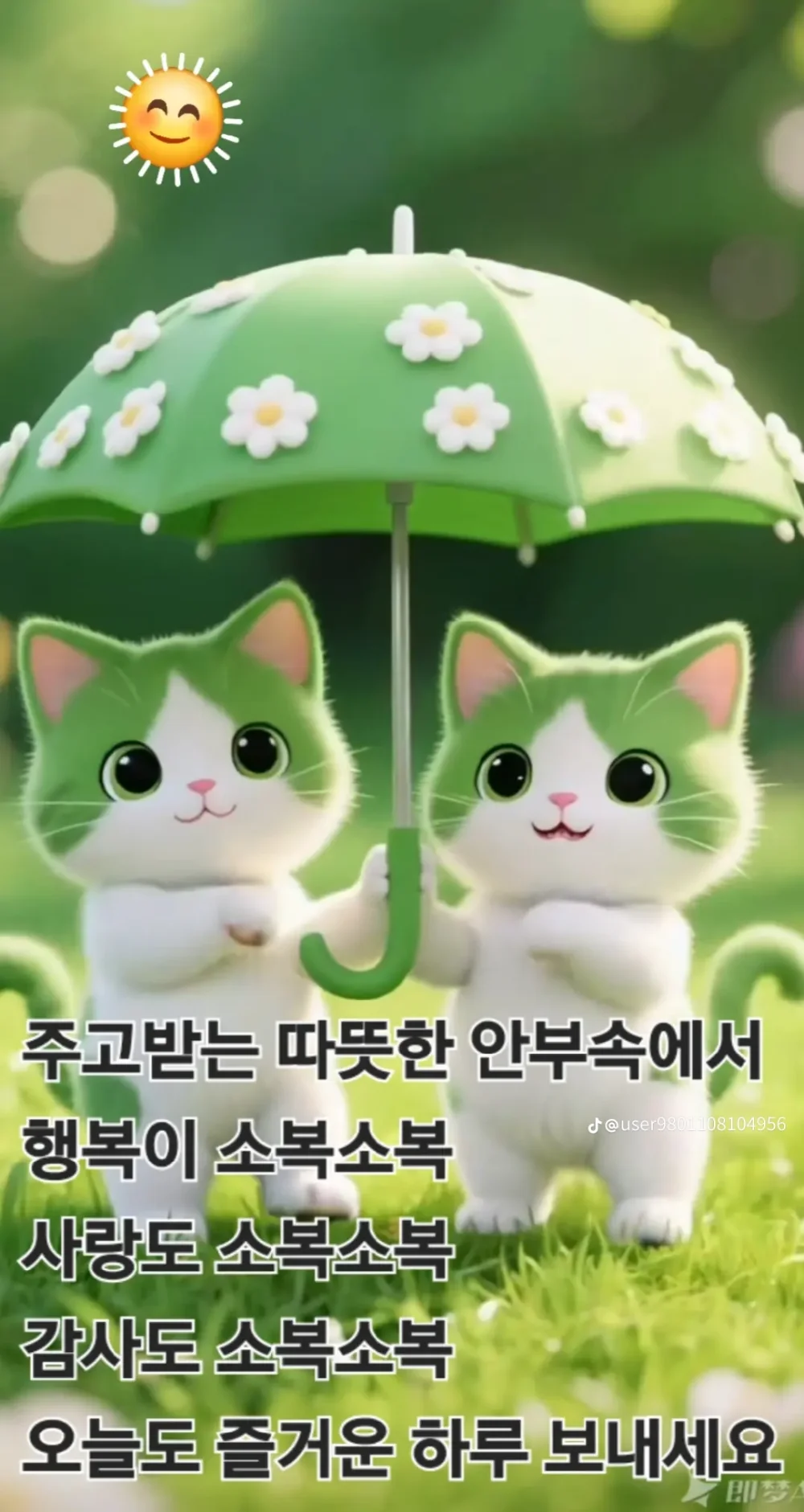 1777245338_Yh533MlY6L.webp