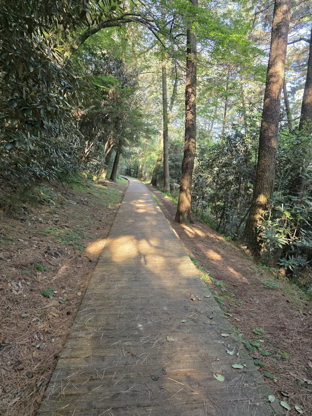 1777247484_X6utyCgsju.webp