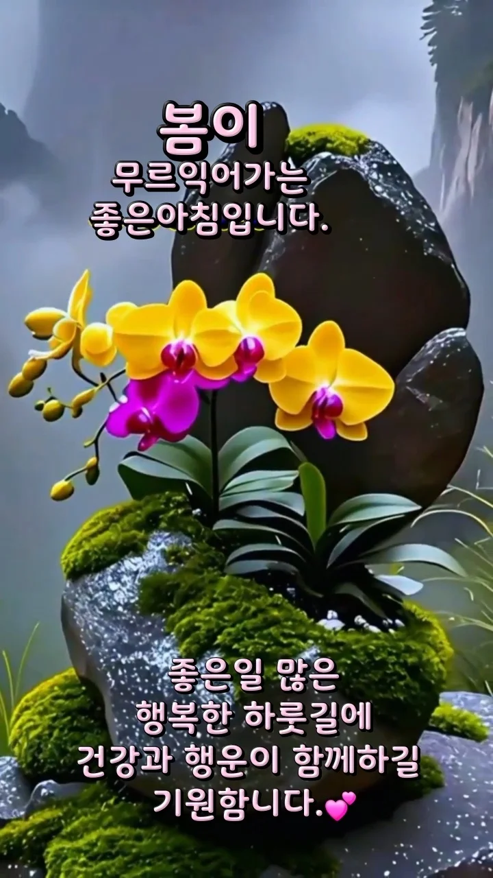 1777413423_M3UyUoNZSt.webp