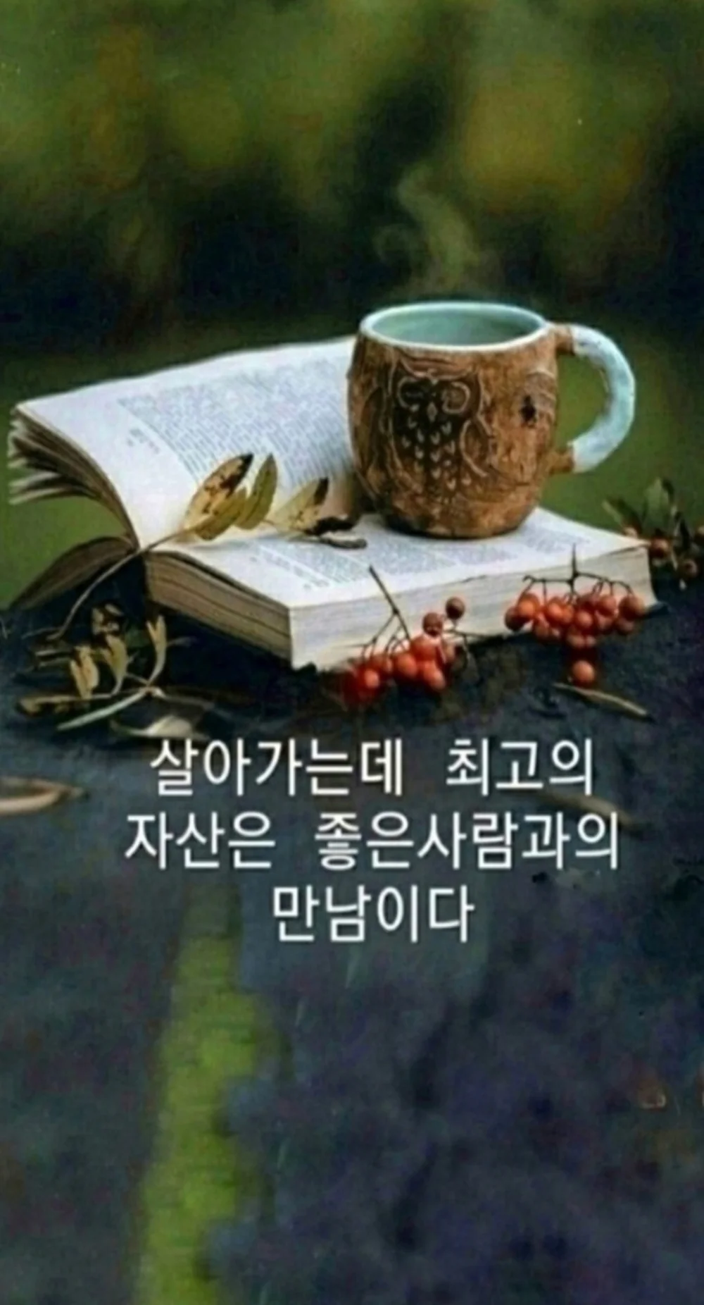 1778035523_xNkT1npWL1.webp