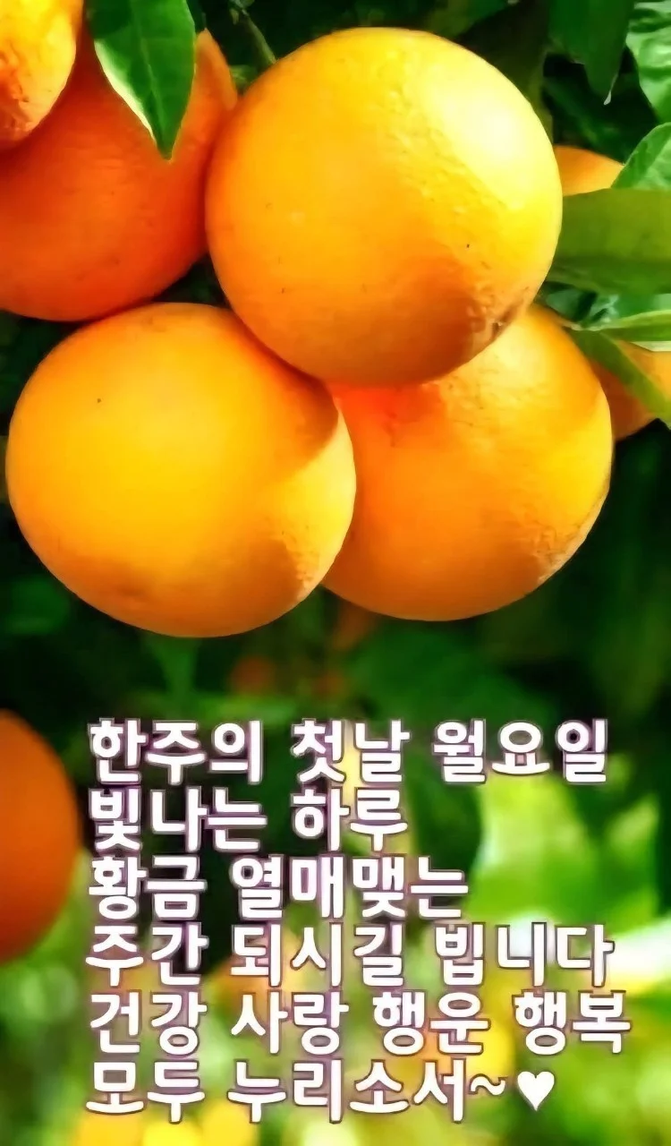 1779066039_7YEOEjllex.webp