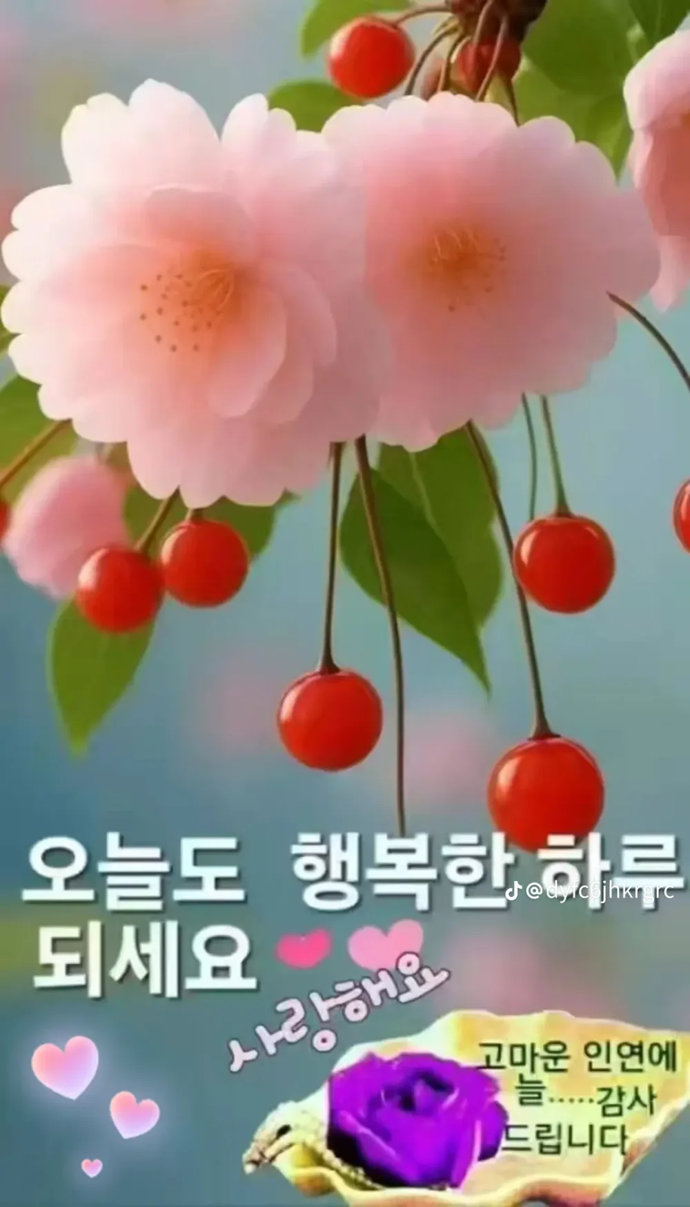 1780033396_h1NSS4RAQj.webp