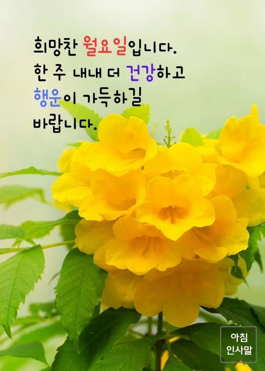 1781563538_SYxqe4Frn2.webp