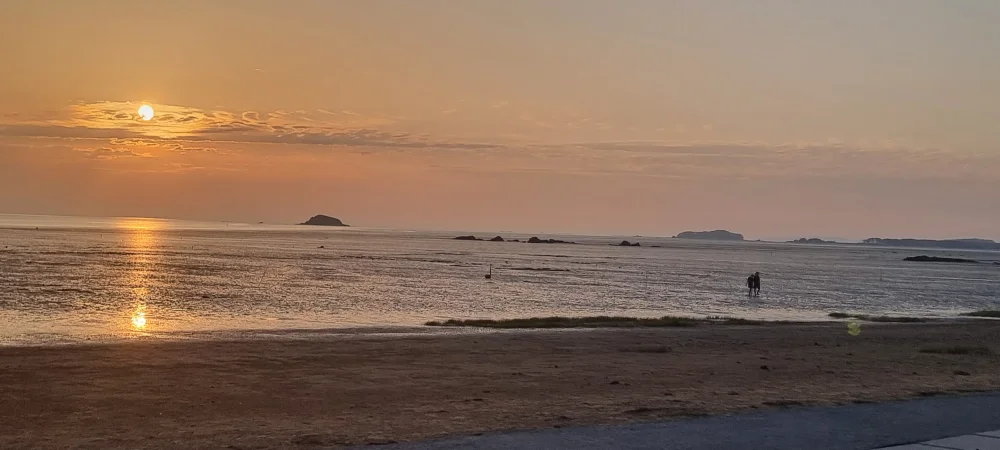 1782936087_UIoauPvasL.webp