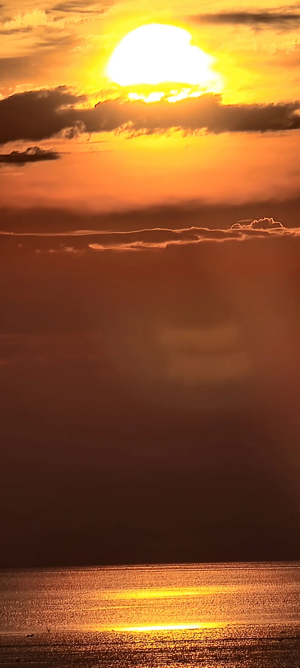 1782936173_et3hzkPT24.webp