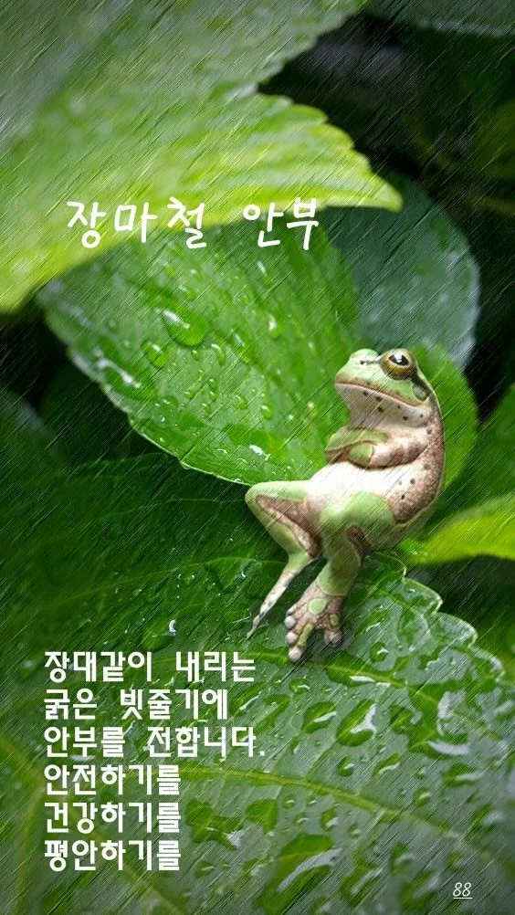 1783549728_w4jvAFIcUX.webp