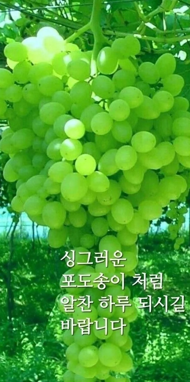 1784344687_03XAhpt5CB.webp
