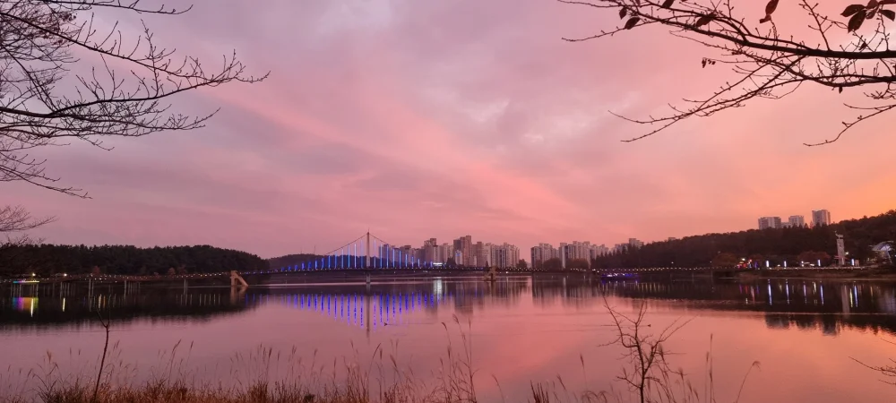 1784559498_QRwARcWwjM.webp