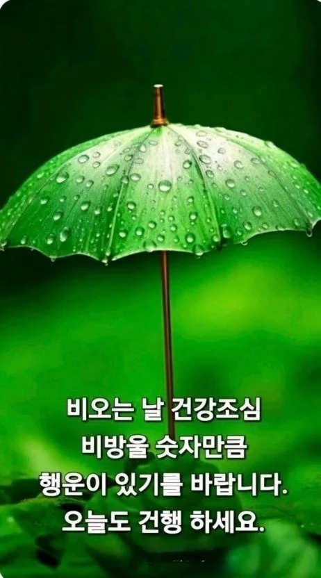 1784775970_1AUZN960kH.webp
