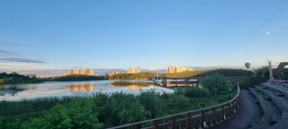 1785086452_hbYOJdiLdn.webp