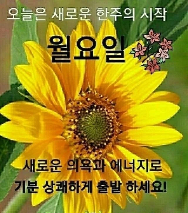 1786946976_fxuNS0b2oj.webp