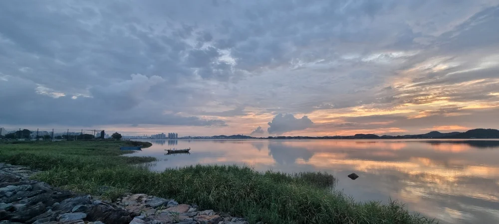 1787502168_msderzjYVk.webp