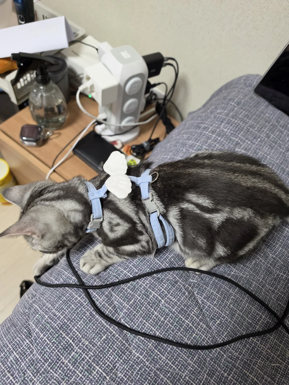 1788451909_8fJfKEG8an.webp