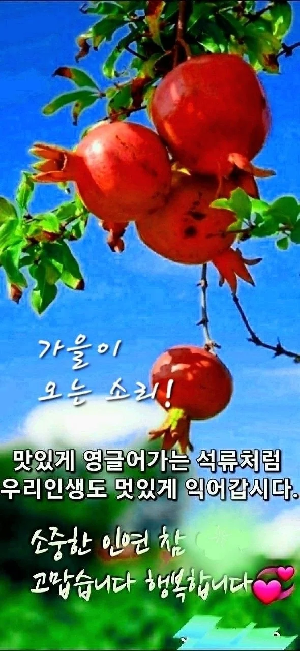 1788737508_2Ie1mGPPZj.webp
