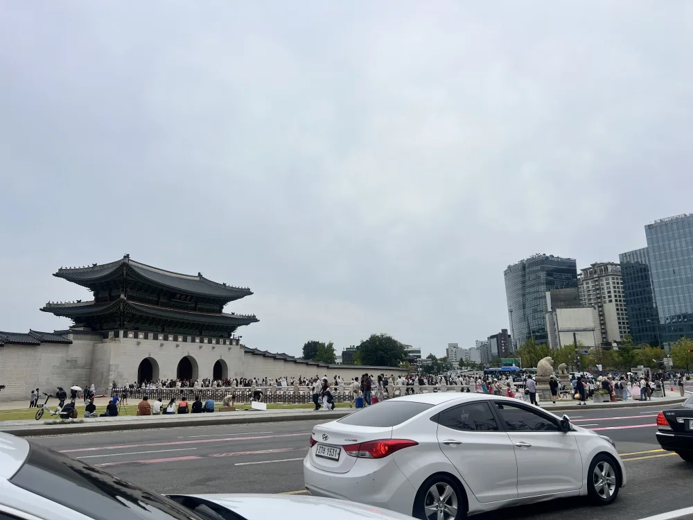 1790430827_ypocWPIr6m.webp