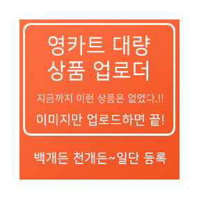 간단 대량 상품 등록기(v1)