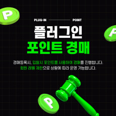 [반응형] 포인트 경매
